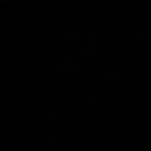 Meet your Posher, Alec